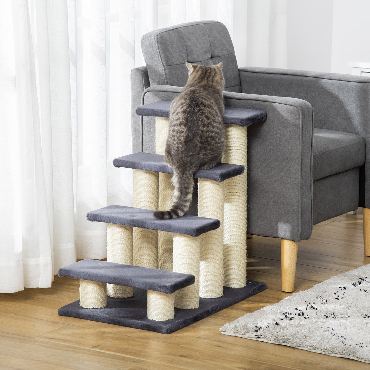 Cat Scratchers & Trees